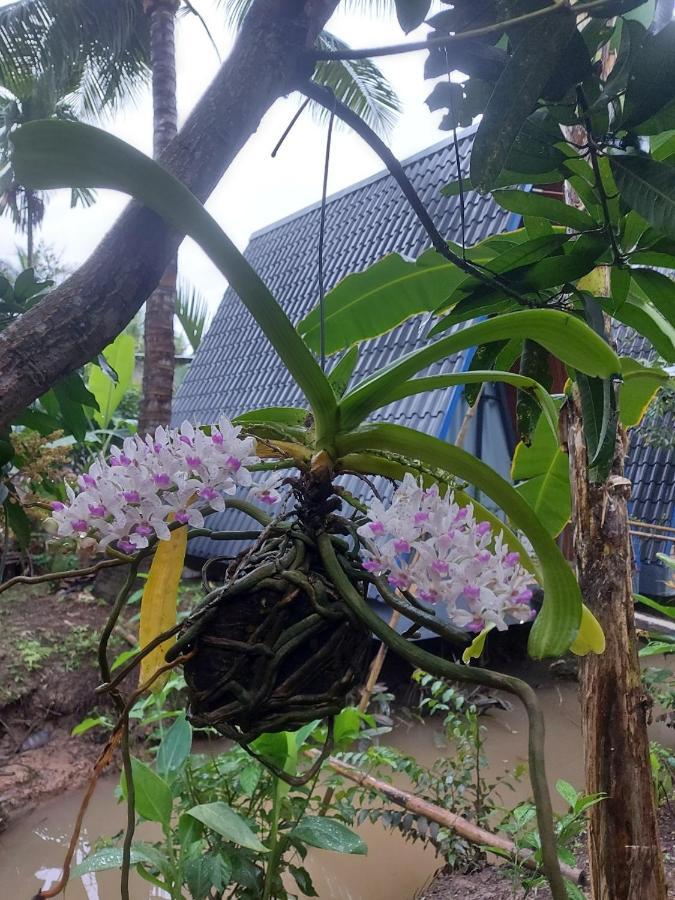 Homestay Nam Ham Luong Ben Tre Eksteriør billede
